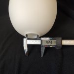 Плафон стекло белый 160*200мм Е27 (42мм посадка) Arte lamp A4344SP-1 PROPUS