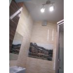 Светильник потолочный Arte lamp A4509PL-2SS ORBITER