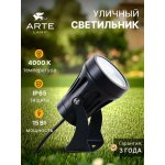 Уличный светильник Arte Lamp A4715IN-1BK ELSIE