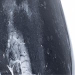 Светильники настольные интерьерные Arte Lamp A5046LT-1BK RUKBAT