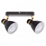 Светильник спот с двумя плафонами Arte lamp A5047PL-2BK FAFNIR