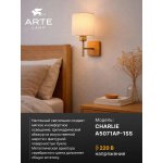 Бра Arte lamp A5071AP-1SS CHARLIE