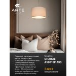 Arte lamp A5071SP-1SS CHARLIE