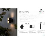 Уличный светильник Arte Lamp A5193AL-2BK BELGRADE