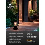 Уличный светильник Arte Lamp A5315FN-1BK TOKYO