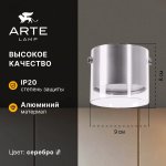 Точечный накладной светильник Arte Lamp A5366PL-1SS LAZIO LAZIO