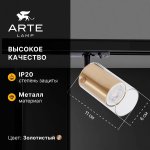 Трековый светильник Arte Lamp A5368PL-1SG LAZIO LAZIO