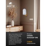 Бра Arte Lamp A5454AP-1PB CASSEL