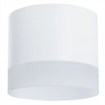 Потолочный светильник Arte Lamp A5554PL-1WH CASTOR