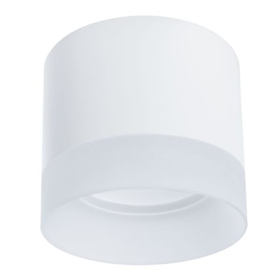 Потолочный светильник Arte Lamp A5554PL-1WH CASTOR