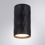 Светильник потолочный Arte lamp A5557PL-1BK FANG