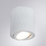 Светильник потолочный Arte lamp A5559PL-1WH FANG