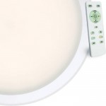 Светильник светодиодный 40 Вт A6040PL-1WH Arte lamp