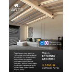Тросовые системы освещения Arte lamp A604506N SKYCROSS