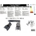 Светильник потолочный Arte lamp A6252PL-2WH LYRA