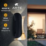 Фасадный светильник Arte Lamp A6405AL-2BK ALBA