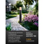Уличный светильник Arte Lamp A6515PA-1BK SEGINUS