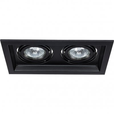 

Светильник потолочный Arte lamp A6661PL-2BK CANIS, A6661PL-2BK