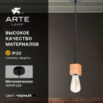 Светильник подвесной Arte Lamp A7048SP-1BK MARK