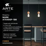 Светильник подвесной Arte Lamp A7049SP-1BK MARK