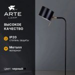 Торшер напольный Arte Lamp A7051PN-1BK SEBASTIAN