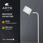 СВЕТИЛЬНИК НАПОЛЬНЫЙ Arte Lamp A7051PN-1WH SEBASTIAN