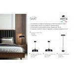 Торшер напольный Arte Lamp A7052PN-2BK SKAT