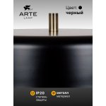 Торшер напольный Arte Lamp A7052PN-2BK SKAT