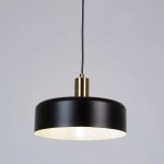 Светильник подвесной Arte Lamp A7052SP-1BK SKAT