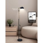 Торшер напольный Arte Lamp A7055PN-1BK ZETTA