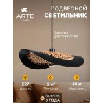 Светильник подвесной Arte Lamp A7059SP-1BK WOODSTOCK