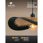 Светильник подвесной Arte Lamp A7059SP-1BK WOODSTOCK