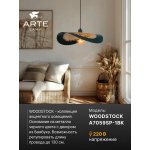 Светильник подвесной Arte Lamp A7059SP-1BK WOODSTOCK