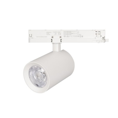 Светильник LGD-NIKA-4TR-R100-30W White6000 (WH, 24 deg, 230V) Arlight 31165