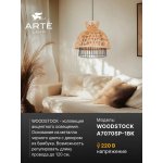 Светильник подвесной Arte Lamp A7070SP-1BK WOODSTOCK