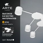Потолочная люстра Arte Lamp A8024PL-6WH LEGACY