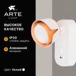 Накладной светильник спот Arte Lamp A8026AP-1WH AMAKS