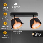 Накладной светильник спот Arte Lamp A8028PL-2BK AMAKS