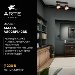 Накладной светильник спот Arte Lamp A8028PL-2BK AMAKS