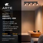 Накладной светильник спот Arte Lamp A8028PL-4BK AMAKS