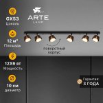 Накладной светильник спот Arte Lamp A8028PL-6BK AMAKS