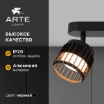 Накладной светильник спот Arte Lamp A8031PL-2BK ATRIA
