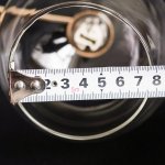 Плафон стекло прозрачный 120мм G9 (23мм посадка) Arte lamp A8564AP/PL ROSARIA