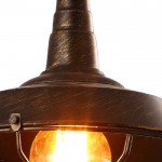 Светильник подвесной Arte lamp A9181SP-1BR Ferrico