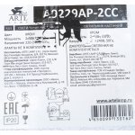 Светильник настенный Arte lamp A9229AP-2CC Picchio