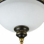 Светильник потолочный Arte lamp A9518PL-2BA Bonito
