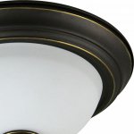 Светильник потолочный Arte lamp A9518PL-2BA Bonito