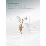 Светильник настенный Arte Lamp A9712AP-2SG CAMOMILLA