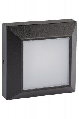 Светильник настенный накладной Oasis Light W4021 Bl