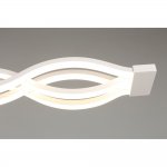 Светильник настенно-потолочный Aployt APL.002.07.72 Nadayn